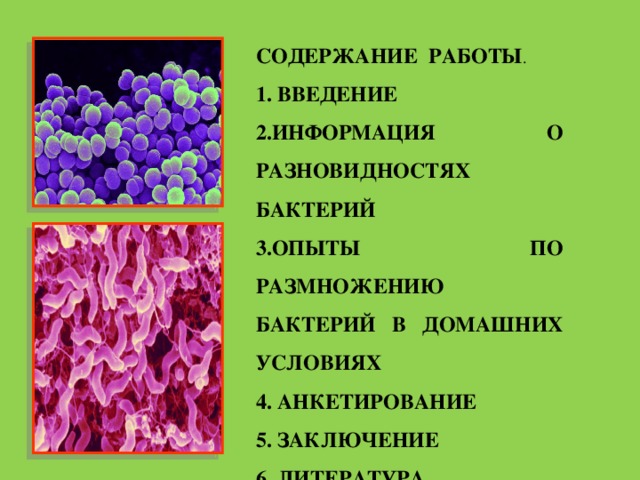 Проекты по литературе 6 класс готовые проекты