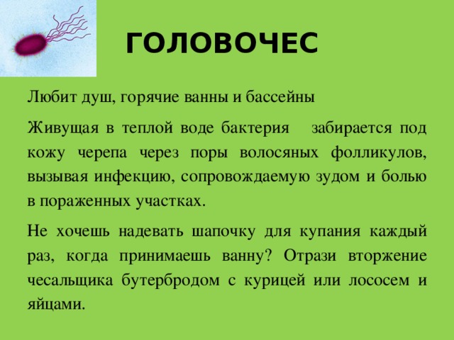 Проект про бактерии 5 класс Проектная деятельность - Биология - 5 класс
