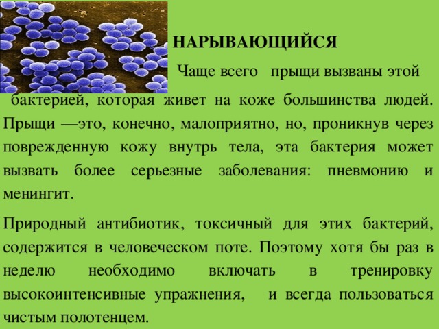 Проектная работа по биологии 9. Сахар пища для бактерий. Бобовые вызывают прыщи. Какие бактерии провоцирует прыщи фото. Как выяснить какие бактерии вызывают прыщи анализы.