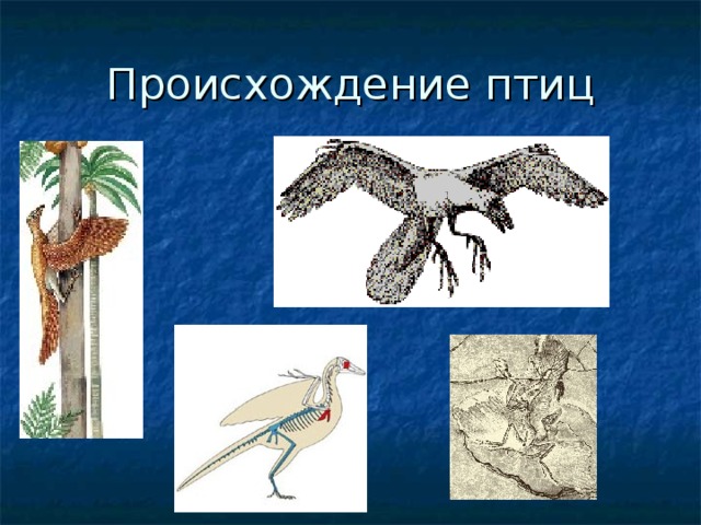 Происхождение птиц 