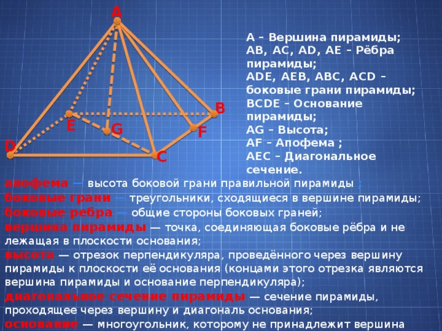 A A – Вершина пирамиды; AB, AC, AD, AE – Рёбра пирамиды; ADE, AEB, ABC, ACD – боковые грани пирамиды; BCDE – Основание пирамиды; AG – Высота; AF – Апофема ; AEC – Диагональное сечение. B E G F D C апофема  — высота боковой грани правильной пирамиды ; боковые грани  — треугольники, сходящиеся в вершине пирамиды; боковые ребра  — общие стороны боковых граней; вершина пирамиды   — точка, соединяющая боковые рёбра и не лежащая в плоскости основания; высота   — отрезок перпендикуляра, проведённого через вершину пирамиды к плоскости её основания (концами этого отрезка являются вершина пирамиды и основание перпендикуляра); диагональное сечение пирамиды   — сечение пирамиды, проходящее через вершину и диагональ основания; основание   — многоугольник, которому не принадлежит вершина пирамиды.  