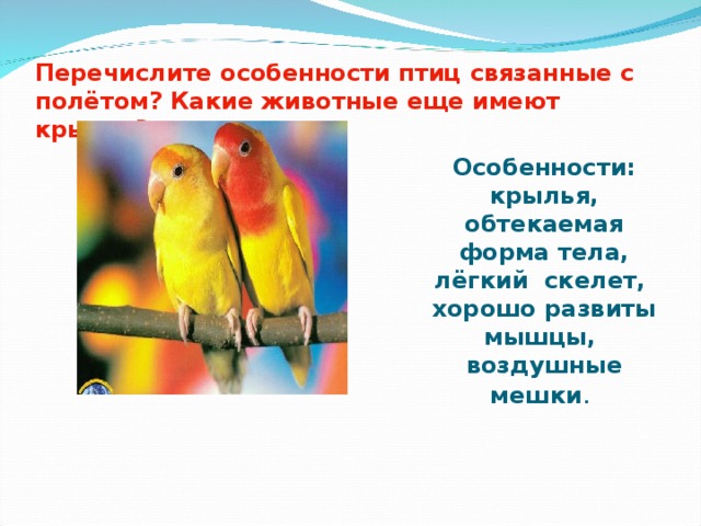 Перечислите особенности птиц связанные с полётом? Какие животные еще имеют крылья? Особенности: крылья, обтекаемая форма тела, лёгкий скелет, хорошо развиты мышцы, воздушные мешки . 