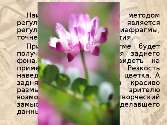 Наиболее эффективным методом регулирования ГРИП является регулировка положения диафрагмы, точнее – размера ее отверстия. При открытой диафрагме будет получен эффект размытия заднего фона. Это вы можете видеть на примере с цветком. Резкость наведена на ближние края цветка. А задняя же часть кадра красиво размыта, что дает зрителю возможность сразу понять творческий замысел фотографа, сделавшего данный снимок. 