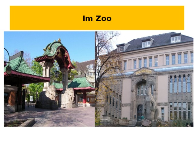 Im Zoo 