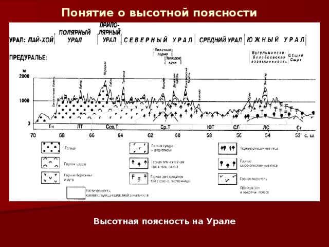 Понятие о высотной поясности  Высотная поясность на Урале  