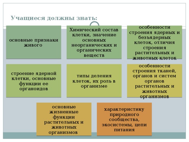 Учащиеся должны знать:   основные признаки живого Химический состав клетки, значение основных неорганических и органических веществ особенности строения ядерных и безъядерных клеток, отличия строения растительных и животных клеток строение ядерной клетки, основные функции ее органоидов типы деления клеток, их роль в организме особенности строения тканей, органов и систем органов растительных и животных организмов основные жизненные функции растительных и животных организмов характеристику природного сообщества, экосистемы, цепи питания 