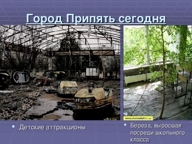 Город Припять сегодня Береза, выросшая посреди школьного класса Детские аттракционы 