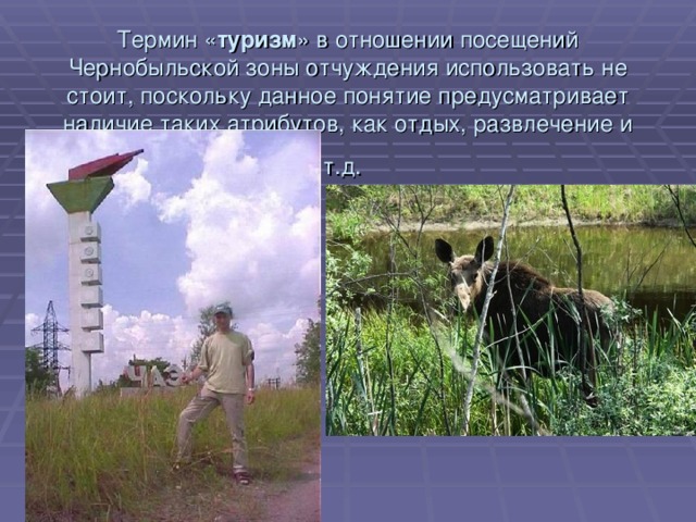 Термин « туризм » в отношении посещений Чернобыльской зоны отчуждения использовать не стоит, поскольку данное понятие предусматривает наличие таких атрибутов, как отдых, развлечение и т.д.  