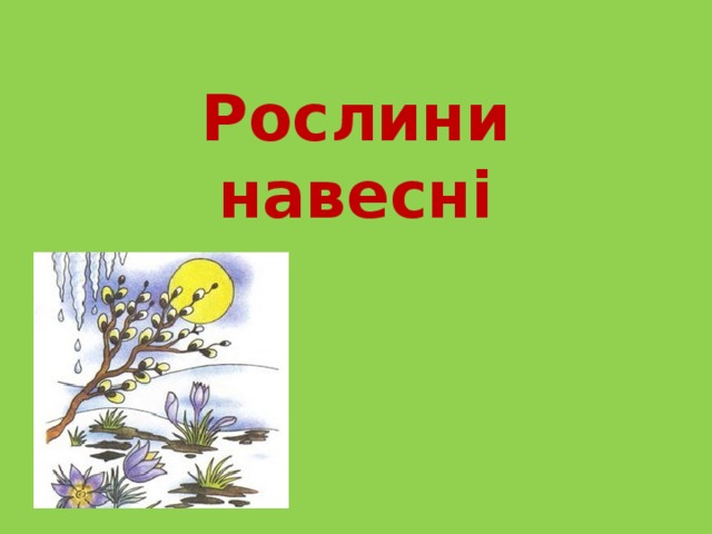 Рослини навесні 