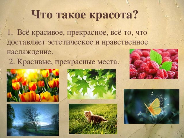 Презентация что есть красота