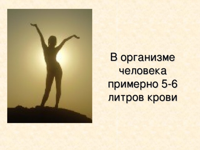 В организме человека примерно 5-6 литров крови  