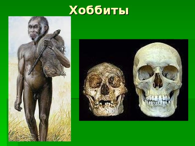 Хоббиты 