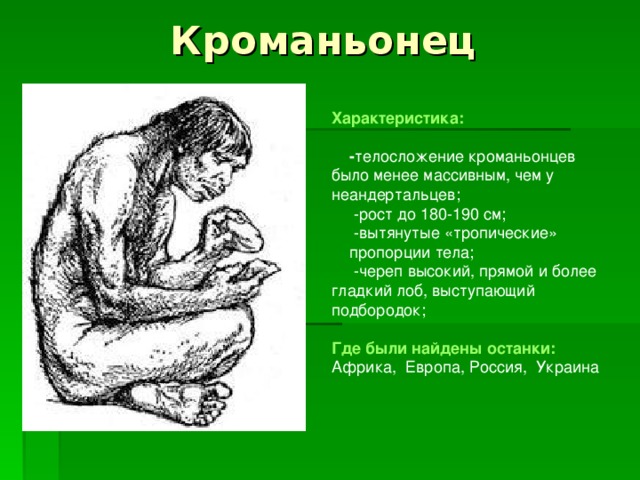 Кроманьонец Характеристика:   - телосложение кроманьонцев было менее массивным, чем у неандертальцев;  -рост до 180-190 см;  -вытянутые «тропические»  пропорции тела;  -череп высокий, прямой и более гладкий лоб, выступающий подбородок; Где были найдены останки:  Африка, Европа, Россия, Украина 