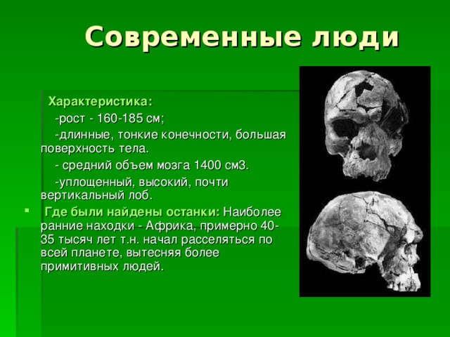 Современные люди  Характеристика:  -рост - 160-185 см;  -длинные, тонкие конечности, большая поверхность тела.  - средний объем мозга 1400 см3.  -уплощенный, высокий, почти вертикальный лоб.   Где были найдены останки:  Наиболее ранние находки - Африка, примерно 40-35 тысяч лет т.н. начал расселяться по всей планете, вытесняя более примитивных людей. 