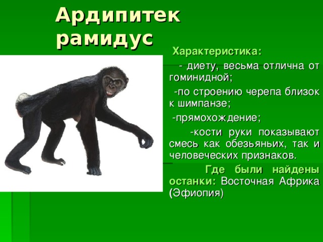 Ардипитек рамидус  Характеристика:   - диету, весьма отлична от гоминидной;  -по строению черепа близок к шимпанзе;  -прямохождение;  -кости руки показывают смесь как обезьяньих, так и человеческих признаков.  Где были найдены останки:  Восточная Африка ( Эфиопия) 