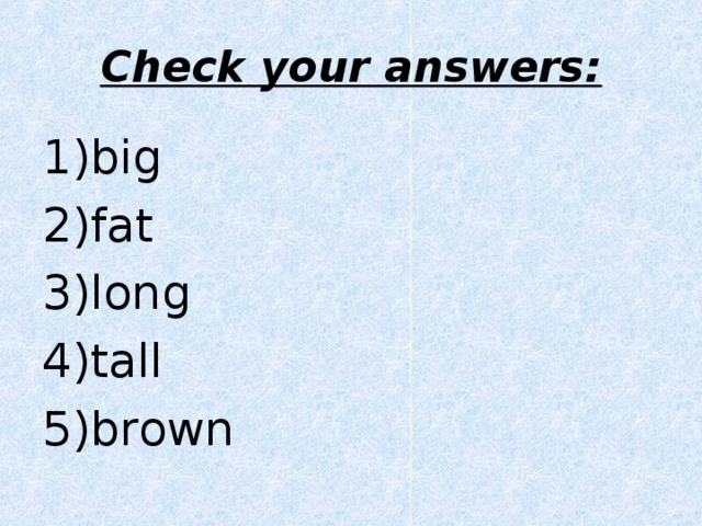 Check your answers: big fat long tall brown 