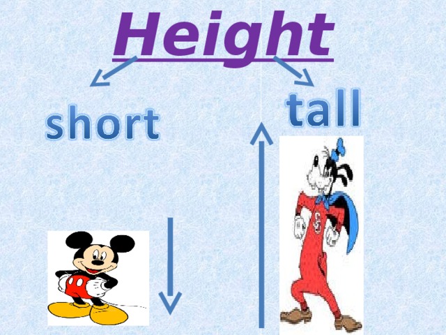 Height   