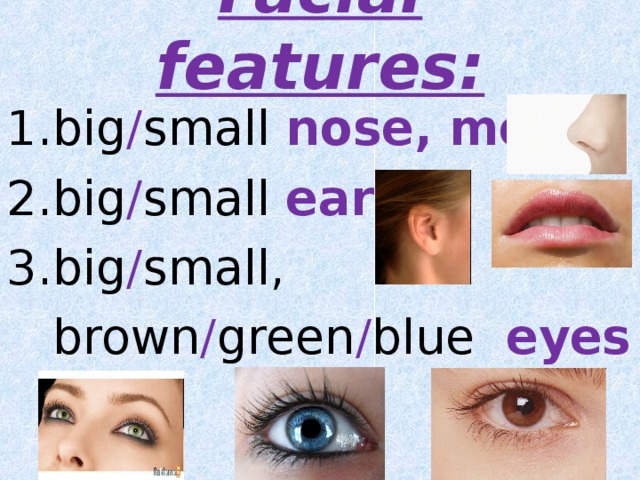 Facial features:   big / small nose, mouth big / small ears big / small,  brown / green / blue eyes   