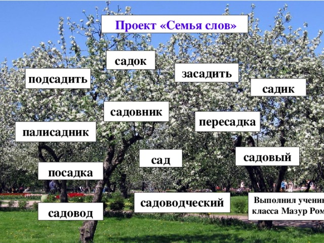 Пример семьи слова. Проект семья слов. Проект по русскому языку семья слов.