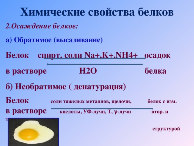 Химические реакции белков