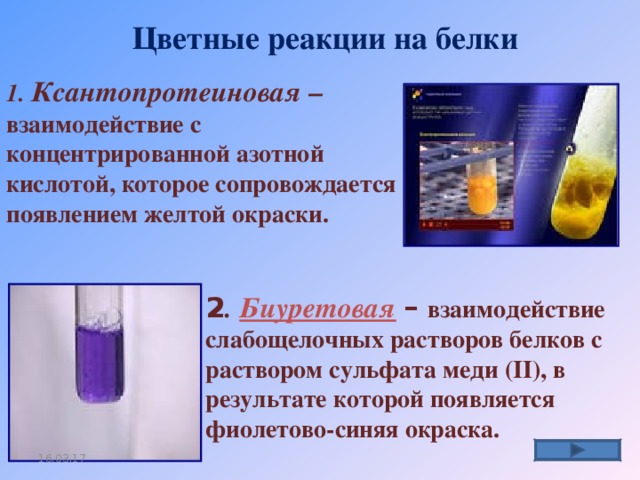 Концентрированный осадок. Биуретовая реакция взаимодействие белков с. Цветные реакции белков биуретовая ксантопротеиновая реакции. Качественные реакции на белок ксантопротеиновая и биуретовая. Цветная реакция белков с азотной кислотой.