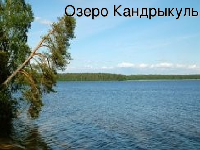 Озеро жилого. Белое озеро Майнский район Ульяновская область.