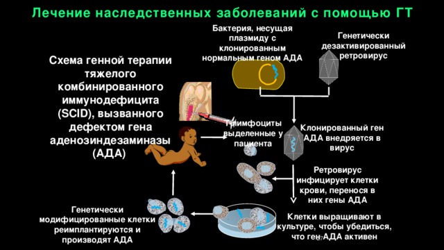 Картинки лечение наследственных заболеваний