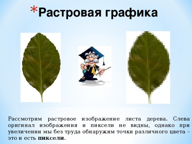 Растровая графика Рассмотрим растровое изображение листа дерева. Слева оригинал изображения и пиксели не видны, однако при увеличении мы без труда обнаружим точки различного цвета – это и есть пиксели . 