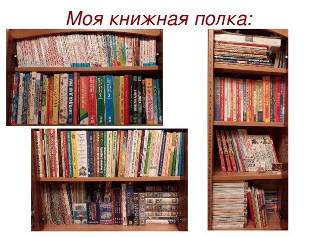 Презентация моя книжная полка