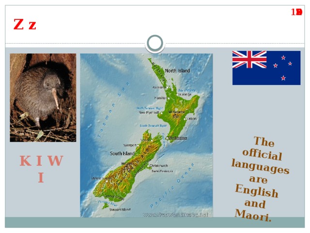 The official languages are English and Maori. 10 9 8 7 6 5 4 3 2 1 Z z  K I W I 