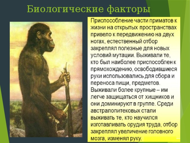 Биологические и социальные факторы эволюции человека 9 класс презентация