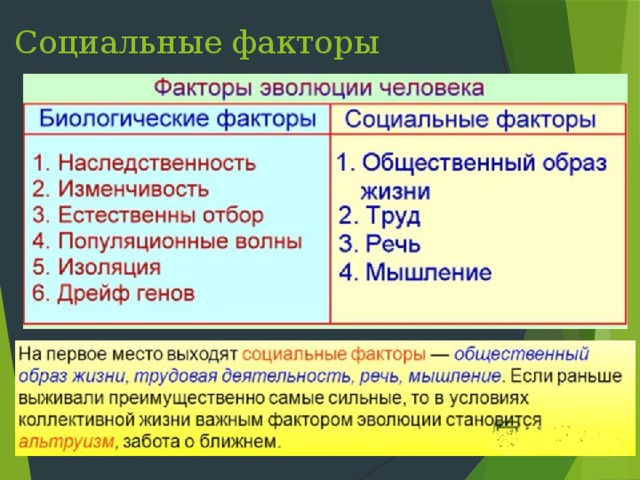 Какой фактор эволюции иллюстрирует рисунок каков характер действия этого фактора