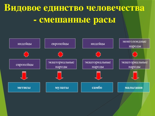 Кто такие европейцы схема