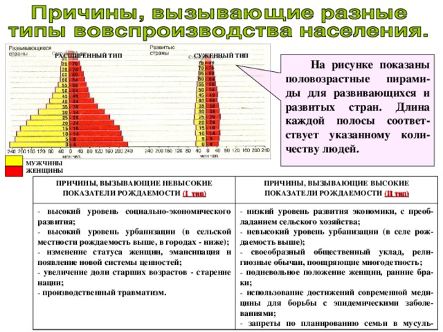 Схема численность и воспроизводство населения