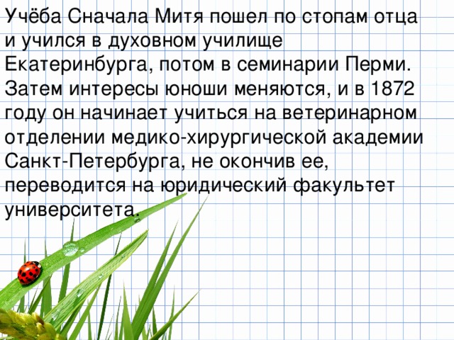 Учёба Сначала Митя пошел по стопам отца и учился в духовном училище Екатеринбурга, потом в семинарии Перми. Затем интересы юноши меняются, и в 1872 году он начинает учиться на ветеринарном отделении медико-хирургической академии Санкт-Петербурга, не окончив ее, переводится на юридический факультет университета. 