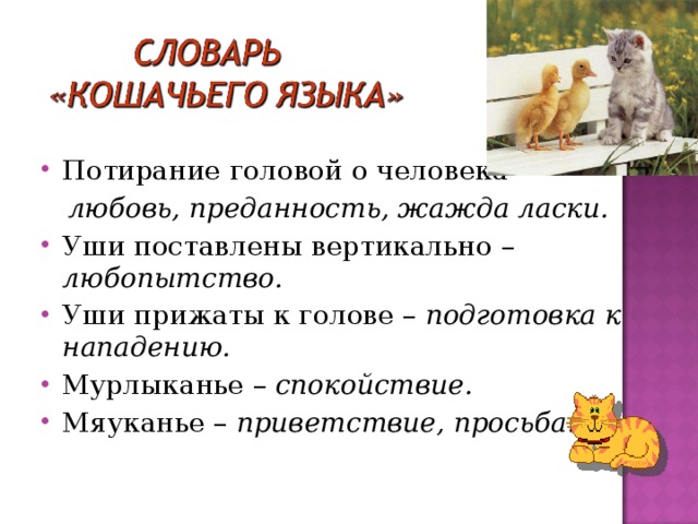 Потирание головой о человека –  любовь, преданность, жажда ласки. Уши поставлены вертикально – любопытство. Уши прижаты к голове – подготовка к нападению. Мурлыканье – спокойствие. Мяуканье – приветствие, просьба.