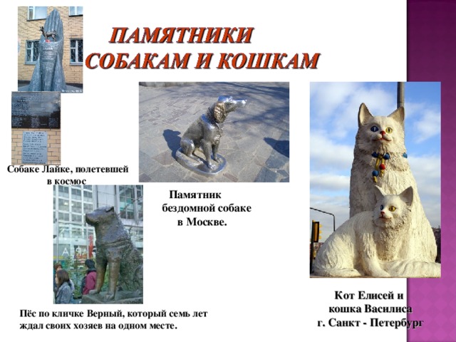 Собаке Лайке, полетевшей в космос  Памятник  бездомной собаке в Москве. Кот Елисей и кошка Василиса г. Санкт - Петербург Пёс по кличке Верный, который семь лет ждал своих хозяев на одном месте.