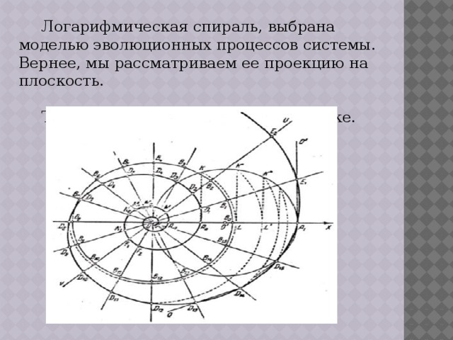 Верная система. Логарифмическая линейка спираль. Уравнение логарифмической Кривой. Логарифмическая плоскость. Логарифмические координаты как построить.