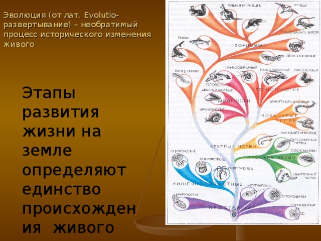 Эволюция живого. Эволюция необратимый процесс исторического изменения живого. Эволюция необратимый процесс доказательства. Почему Эволюция необратима. Почему  в эволюции живого мира.