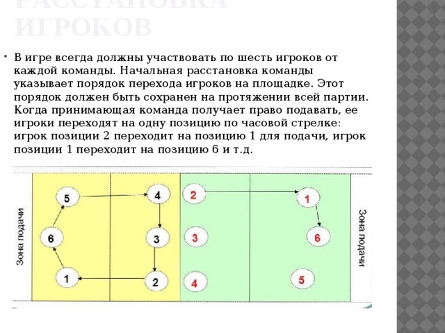 Сколько игроков в волейболе на площадке