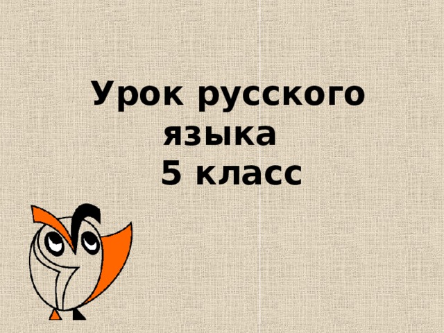  Урок русского языка  5 класс 