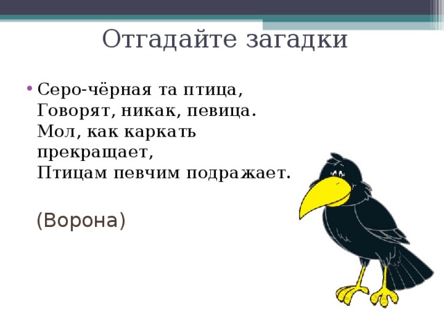 Птичка ответы. Стих про ворону. Загадка про ворону. Загадка про ворона. Стих про ворону для детей.