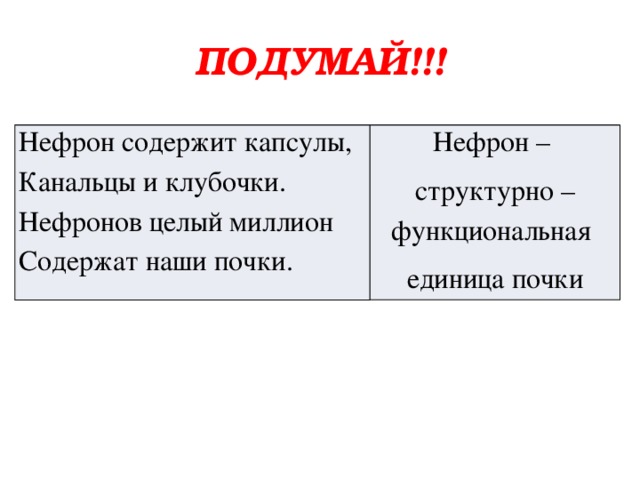 ПОДУМАЙ!!! Нефрон содержит капсулы,  Канальцы и клубочки.  Нефронов целый миллион  Содержат наши почки. Нефрон – структурно – функциональная единица почки 