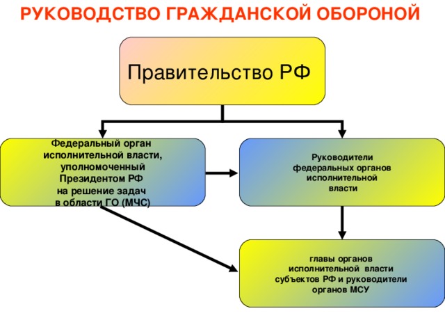 Уполномоченный орган исполнительной власти. Федеральный орган исполнительной власти Гражданская оборона. ФОИВ, уполномоченный на решение задач в области го. Уполномоченный орган в области гражданской обороны РФ. Федеральный руководить го.