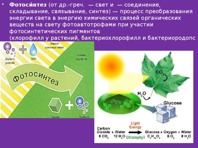 Световая энергия в химическую