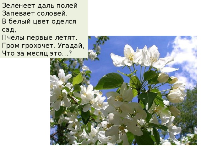 Презентация к уроку окружающего мира 2 класс в гости к весне школа россии