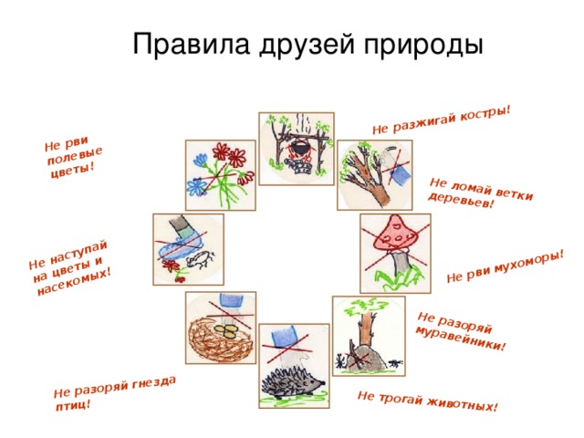 Придумать правила друзей природы