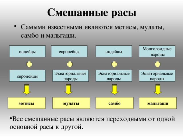 Смешанные расы Самыми известными являются метисы, мулаты, самбо и мальгаши. индейцы Монголоидные  народы европейцы индейцы Экваториальные народы Экваториальные народы Экваториальные народы европейцы самбо мальгаши мулаты метисы Все смешанные расы являются переходными от одной основной расы к другой. 