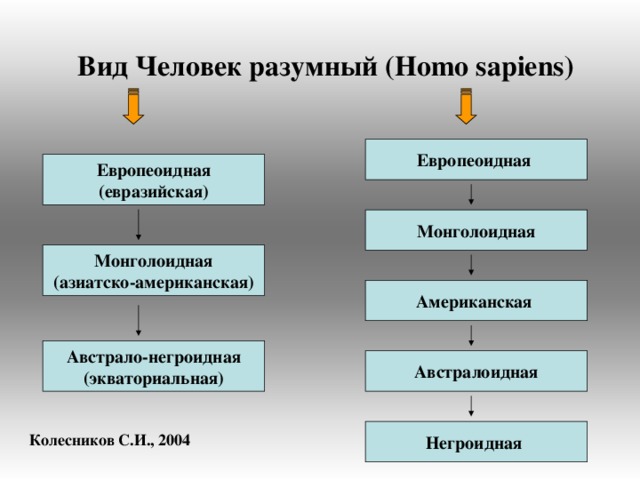 Вид Человек разумный ( Homo sapiens ) Европеоидная Европеоидная (евразийская) Монголоидная Монголоидная (азиатско-американская) Американская Австрало-негроидная (экваториальная) Австралоидная Негроидная Колесников С.И., 2004 