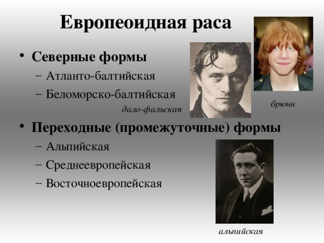 Европеоидная раса Северные формы Атланто-балтийская Беломорско-балтийская Атланто-балтийская Беломорско-балтийская   дало-фальская    дало-фальская  Переходные (промежуточные) формы  Альпийская Среднеевропейская Восточноевропейская Альпийская Среднеевропейская Восточноевропейская брюнн альпийская 
